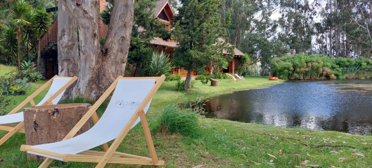 Palumbo Glamping & Villas Cayambe Eksteriør billede