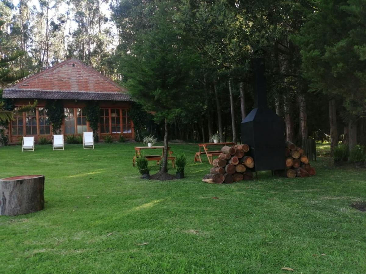 Palumbo Glamping & Villas Cayambe Eksteriør billede
