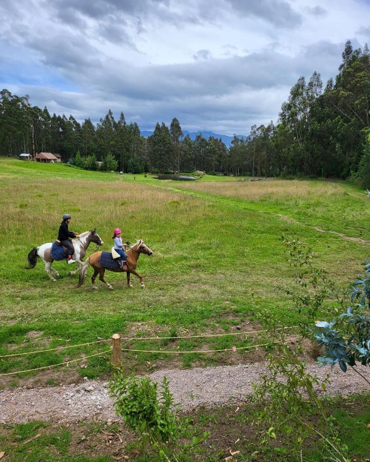 Palumbo Glamping & Villas Cayambe Eksteriør billede