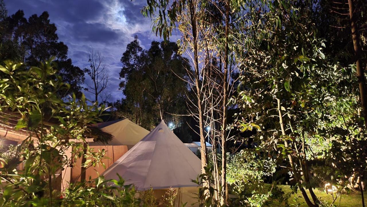 Palumbo Glamping & Villas Cayambe Eksteriør billede