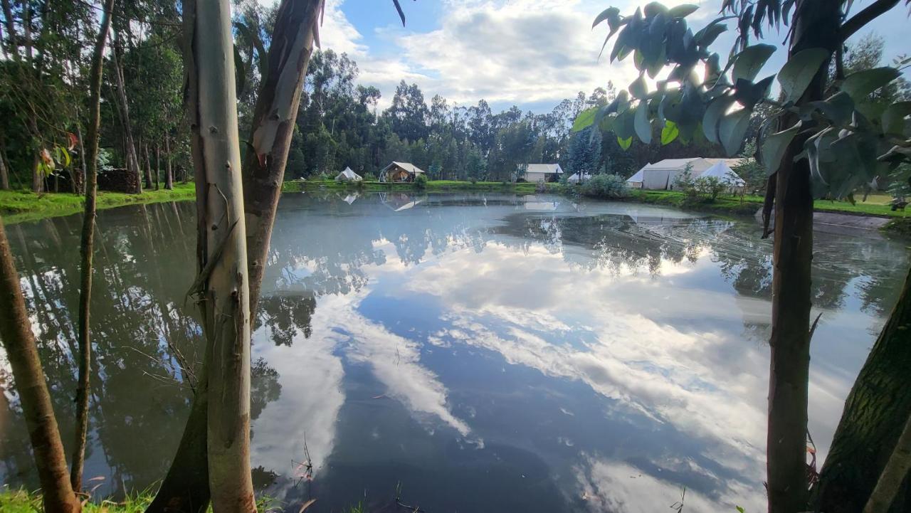 Palumbo Glamping & Villas Cayambe Eksteriør billede