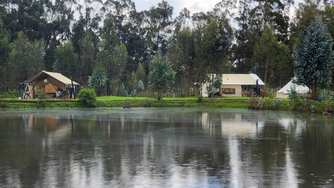 Palumbo Glamping & Villas Cayambe Eksteriør billede
