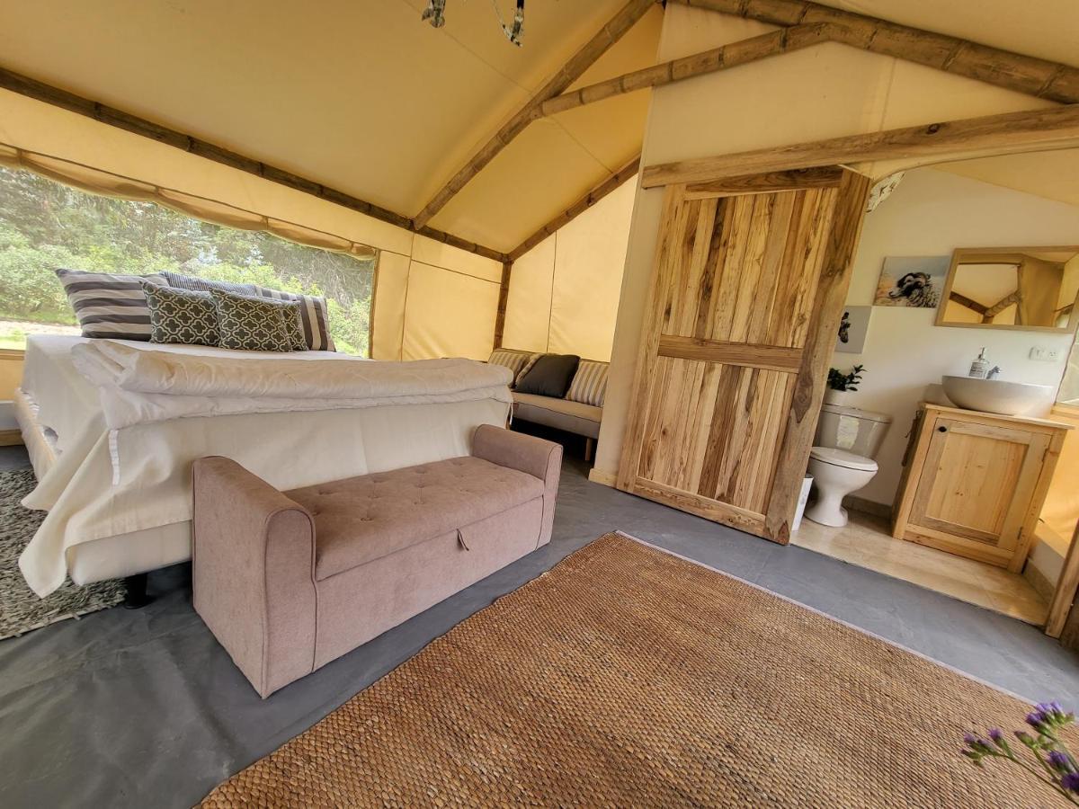 Palumbo Glamping & Villas Cayambe Eksteriør billede